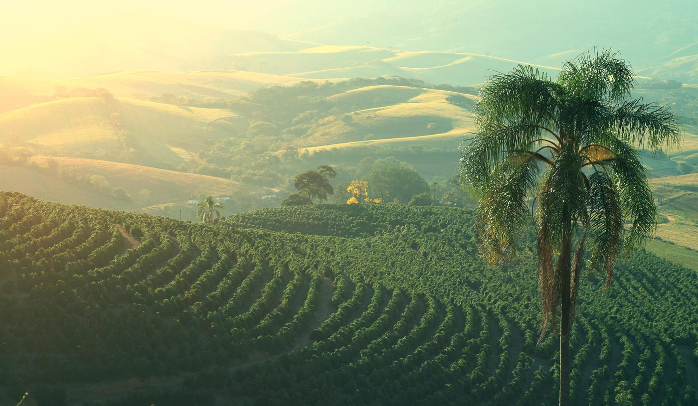 Mogiana, Brazil
