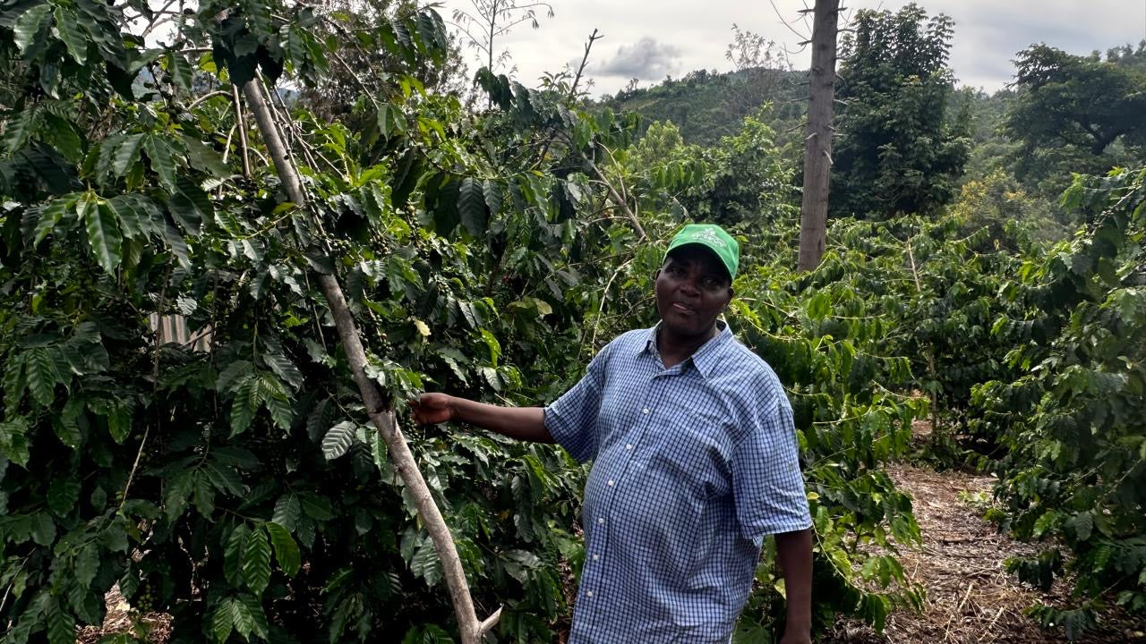 Mumu's Estate, Tangata Ward, Meru County