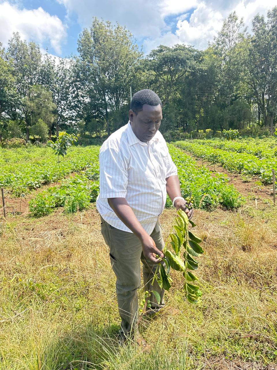 Kenya — Rhino Farms AB