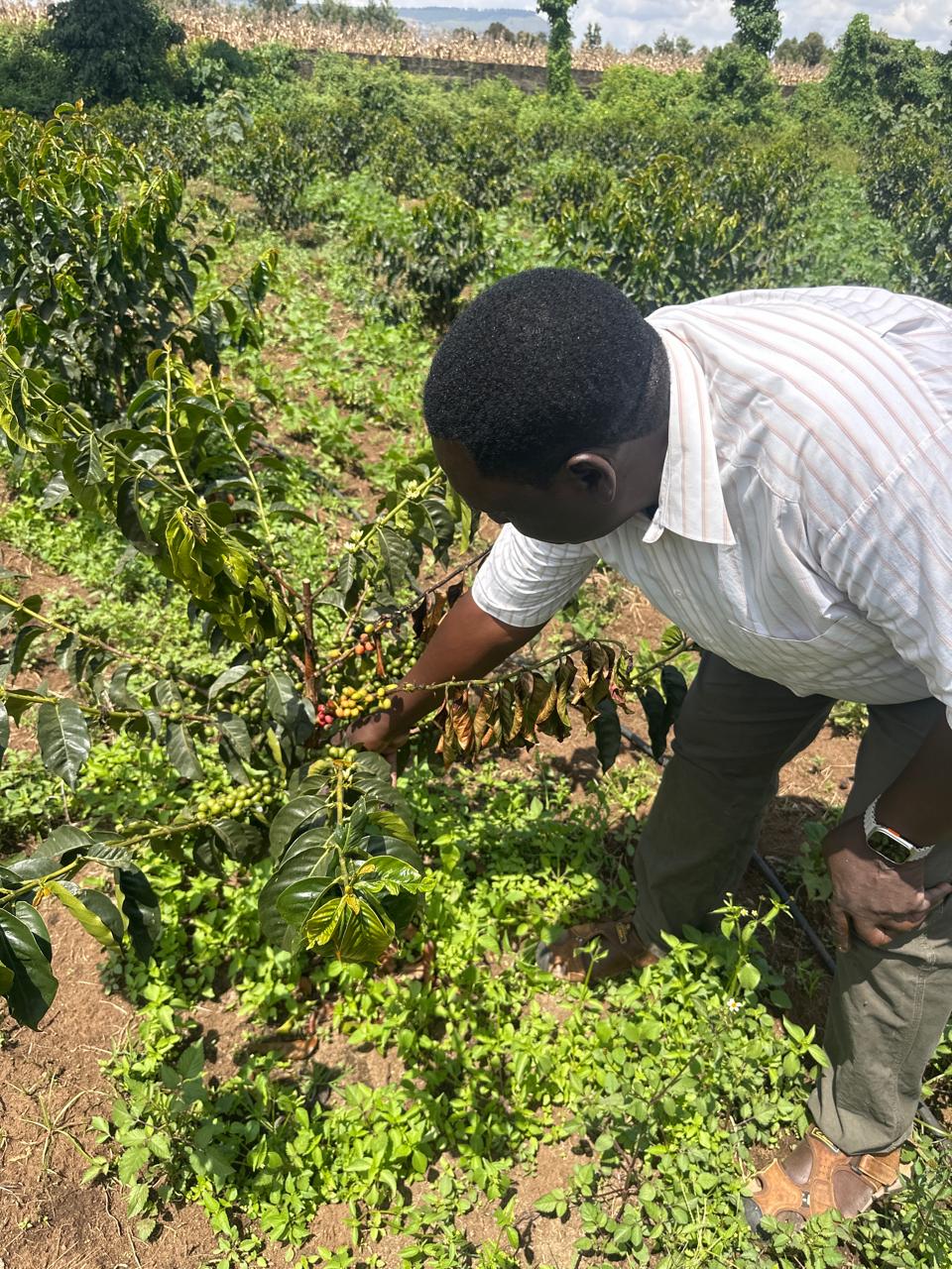 Jacob Kibiri on his farm at Rhino Farms, Nakuru County